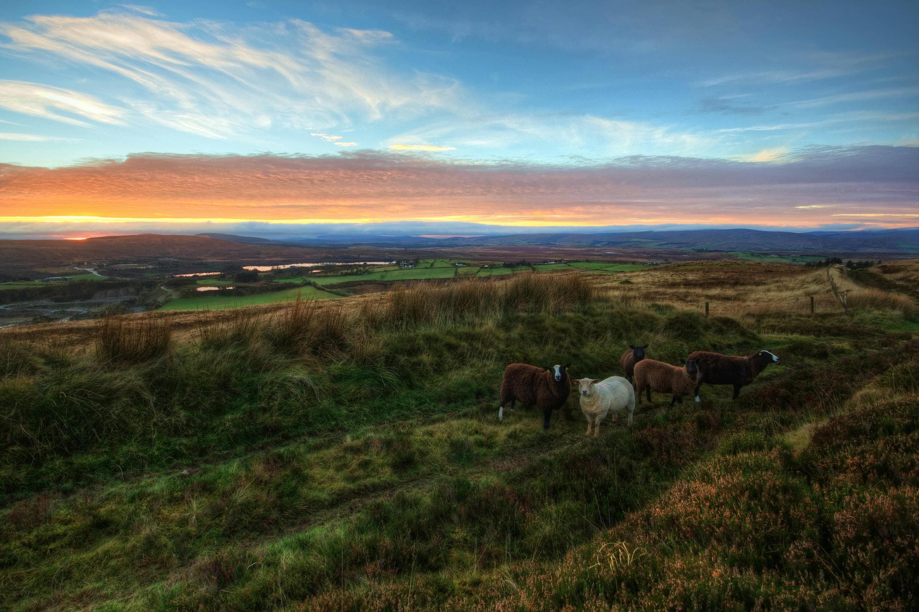 Island Champ Image for arasgrasa, shot taken by Steven Hylands